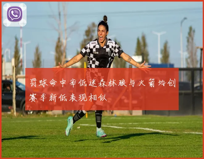 罚球命中率低迷森林狼与火箭均创赛季新低表现相似