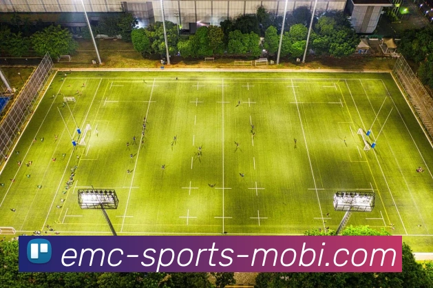 易倍体育平台生态图